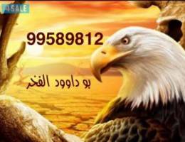  للايجار شقه غرناطه ق2 