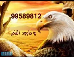  للايجار شقه عبدالله مبارك 