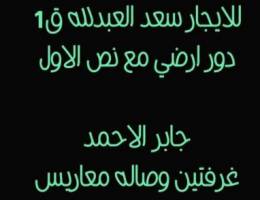  للايجار شقق وادوار سعد وجابر 