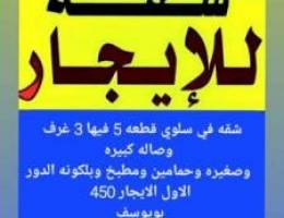  الايجار شقه في سلوي 450 