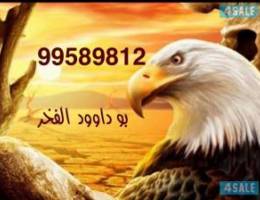  للايجار شقه الدوحه ق4 