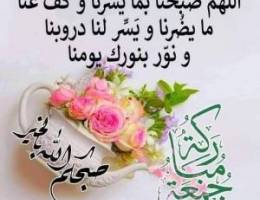  شقه في عبدالله المبارك 