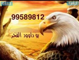  صباح الناصر ق7 