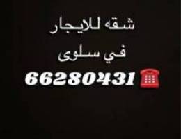  شقه للايجار في سلوى 