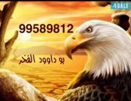  للايجار شقه سعدالعبدالله ق2 