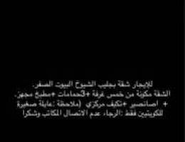  للايجار شقة بجليب الشيوخ بيوت الصفر الحكومة من المالك مباشرة 