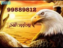  للايجار شقه جابرالاحمد ق1 