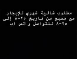  مطلوب شالية للإيجار شهري بالصيف ميناء عبدالله او الخيران او النويصب 