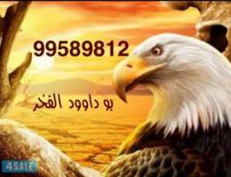  للايجار شقه ارضيه الدوحه ق3 