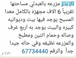  للايجار السنوي  مزرعه بالعبدلي قطعه ٢ 