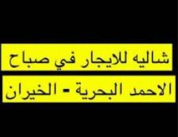  شاليه للايجار في صباح الاحمد البحرية - الخيران 