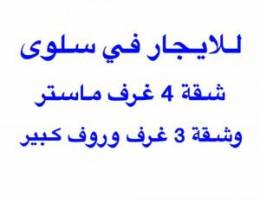  للايجار في سلوى شقتين - شقة 4 غرف وشقة مع روف كبير 