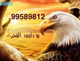  للايجار بيت كامل الفردوس 