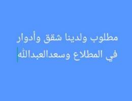  للإيجار شقق وادوار  سعداللعبد والمطلاع والنسبم 