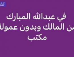  الشهر الاخير مجاني شقه للاجار لمدة سنه فقط من المالك مباشره 