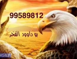  للإيجار دور أرضي الدوحه ق1 