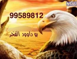  للإيجار شقه الأندلس ق10 