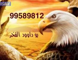  للإيجار شقه جابرالاحمد ق1 