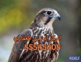  للإيجار شقة الأندلس ق9 