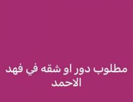  مطلوب دور او شقه في فهد الاحمد 