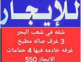  الايجار شقه في الشعب البحري 550 