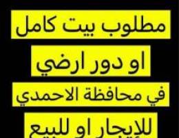  مطلوب دور ارضي او بيت كامل في محافظة الاحمدي للإيجار تواصل مع المالك 