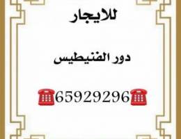  للايجار دور الفنيطيس 