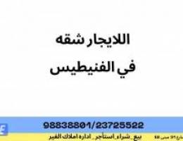  للايجار شقه في الفنيطيس 