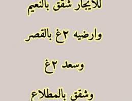  للايجار شقق بالنعيم وارضيه ٢غ بالقصر وسعد وشقق بالمطلاع 