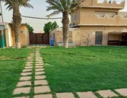  للايجار استراحة جاخور بالهجن chalet for rent 