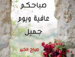  للايجار شقه باشهداء ٤غرف 