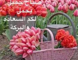  شقه فهد الأحمد ٣٣٠دك 