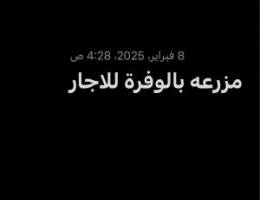  مزرعة بالوفره للاجار الشهري بنيان جديد 