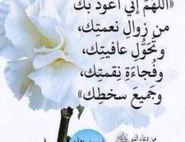  للبيع او ضمان بقاله بالسالميه 