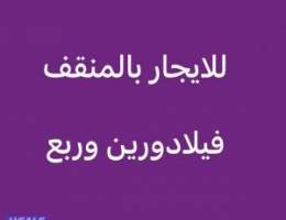  فهدالاحمد/هديةالعدان المنقف الرقةوالصباحية 