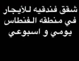  اجار يومي و شهري شقق فندقيه يوجد حراسه 24 ساعه و لوبي فندق و كافتريا 