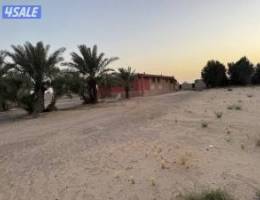  للايجار مزرعه بالوفره 