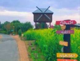  للايجار الشهري ديوانيه مقابل صناعية الجهراء 
