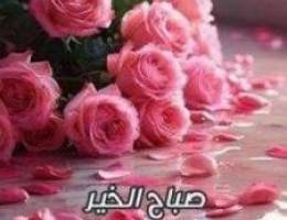  للإيجار شقة الفردوس 