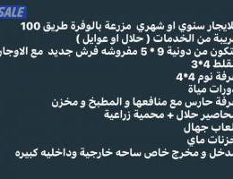  للايجار سنوي او شهري  مزرعة بالوفرة طريق 100 قريبة من الخدمات 