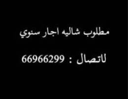  مطلوب شاليه سنوي 