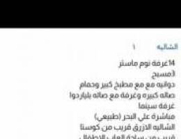  للايجار شاليهات بمنطقة مدينة صباح الاحمد البحرية بسعر ممتاز 