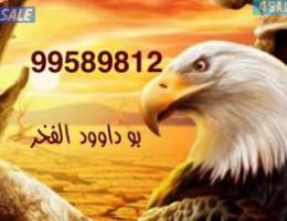  الاجار شقه شمال غ الصليبيخات ق2 