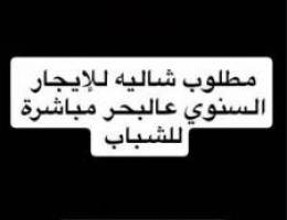  المنصورية 