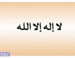  شقة مع السطح 