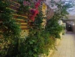  Studio for rent In Salwa 