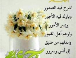  للايجار شقه ارضيه مدخل خاص بابوفطيره ٣غرف ٣حمام وصاله ومطبخ 