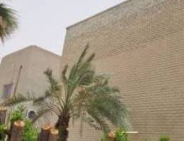  للايجار بيت في صباح السالم  زاوية 