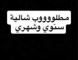 مطلوووووب شالية سنوي او شهري شرط مدة طويلة 