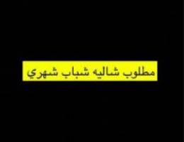  مطلوب شاليه شباب شهري 